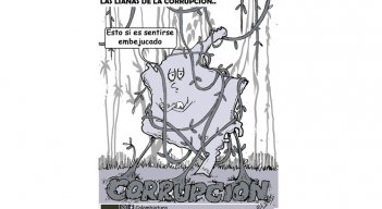 Las lianas de la corrupción 